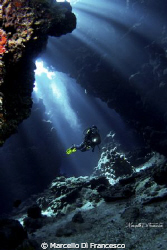 The Cave
Dangerous Reef, Red Sea by Marcello Di Francesco 